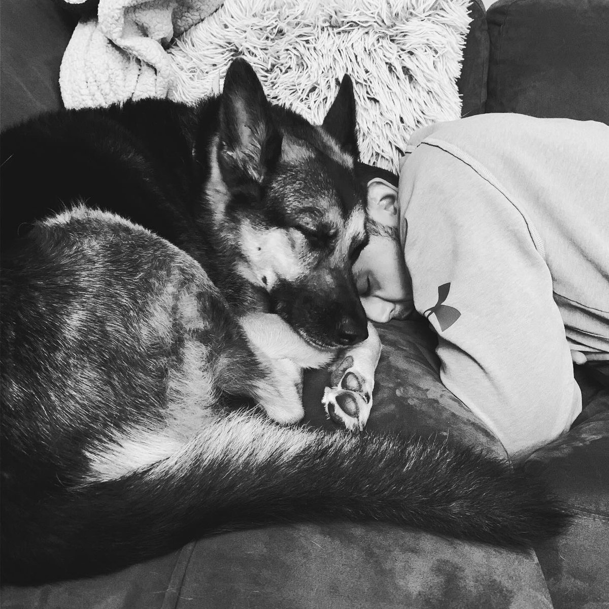 Jason Langvee tweet media