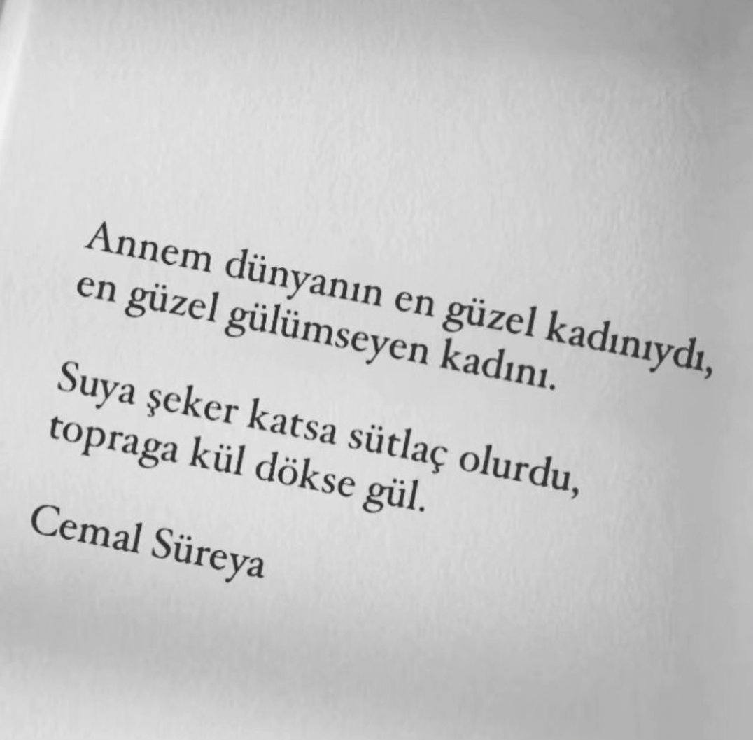 Yerçekimsiz Karanfil (@yersizkaranfil) on Twitter photo 