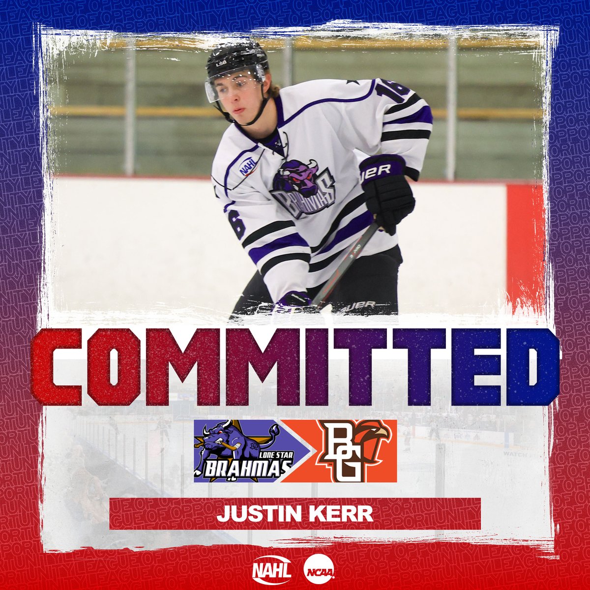 #NAHL Commitment Alert: <a href="/LoneStarBrahmas/">Lone Star Brahmas 🏆</a> forward and <a href="/NAPHL/">NAPHL</a> T1ER alum Justin Kerr has committed to play NCAA Division I <a href="/collegehockey/">College Hockey Inc.</a> for <a href="/BGSUHKY/">BGSU Hockey</a> in <a href="/CCHAHockey/">CCHA</a> #MadeintheNA #LadderofDevelopment nahl.com/news/story.cfm…