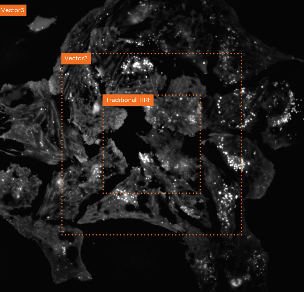 3i_inc's tweet photo. Big news!  Kick off 2024 with a 3i webinar featuring super-resolution spinning disk confocal and brand-new epi-mounted Vector3 TIRF + Photomanipulation with a massive, uniform field-of-view.

January 12th @ 10AM PT | 11AM MT | 1PM ET
https://t.co/a9QHBWjYyG