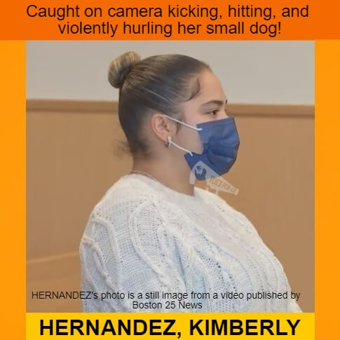 VoiceForUs_'s tweet photo. - Massachusetts, USA -
KIMBERLY HERNANDEZ arrested – Caught on camera kicking, hitting, and violently hurling her small dog
https://t.co/9k9qQDc0Aq
#VoiceForUs #AnimalCruelty #AllLivesMatter #Massachusetts #middlesexcounty #Lowell #crueldadanimal #deathpenaltyforanimalabusers https://t.co/OGBG4cAnlF