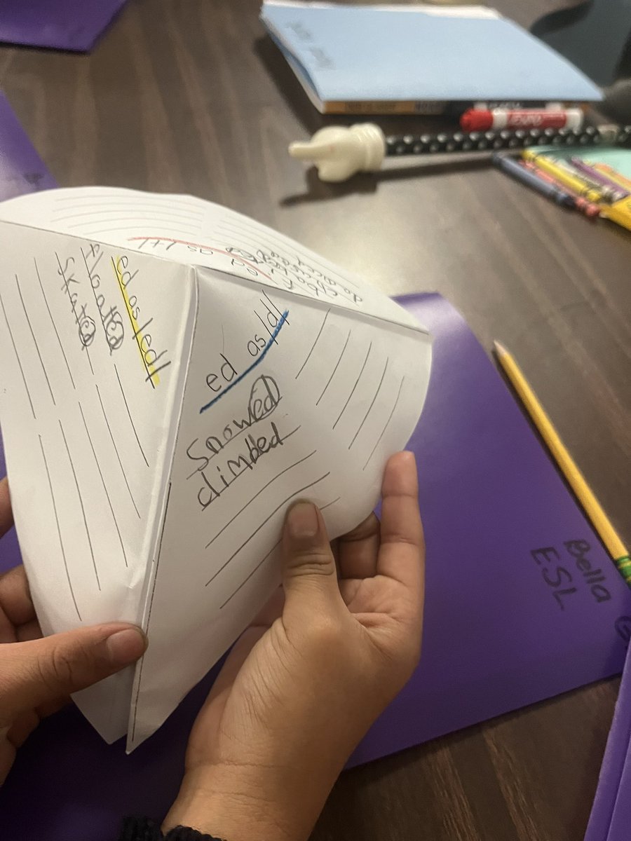 Lynette Palmieri tweet media