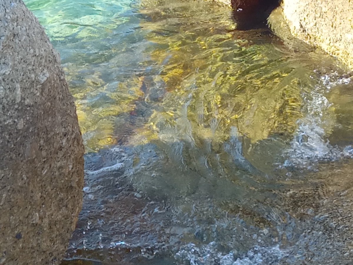 lonabelajar's tweet photo. Kangen Belitong lebih dari apapun:(, tapi sepertinya tahun ini akan lebih lama snorkeling di Pulau Seribu, deh.

🐳🐟🐡🧜‍♀️🌊🦑💖💓 https://t.co/i1L8o3sCYb