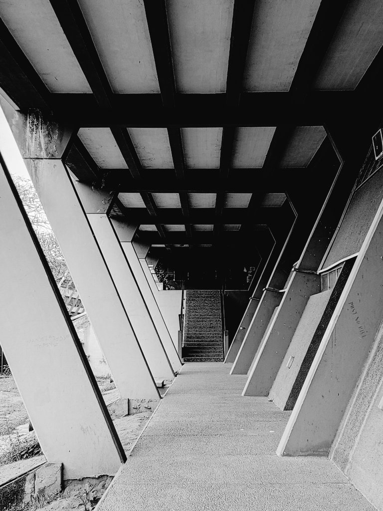 AdekunleIbuku16's tweet photo. How was your day?
Greetings from Africas most beautiful campus.
Shot on @InfinixNigeria Hot 30
Edited with @Lightroom mobile
Inspired by @thejuwonlo
#GreatIfe #Oautweeter #OauX #monochrome #blackandwhite #photography https://t.co/3S7TxNcFOh