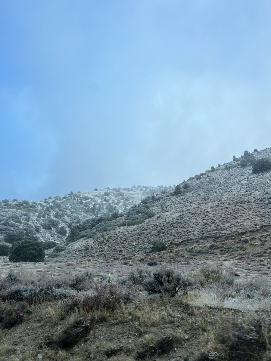 chriscabezastv's tweet image. First snowfall of the year! ❄️ La primera nevada del 2024 en el sur de California @TELEMUNDO52 #FrazierPark #Lebec #KernCounty