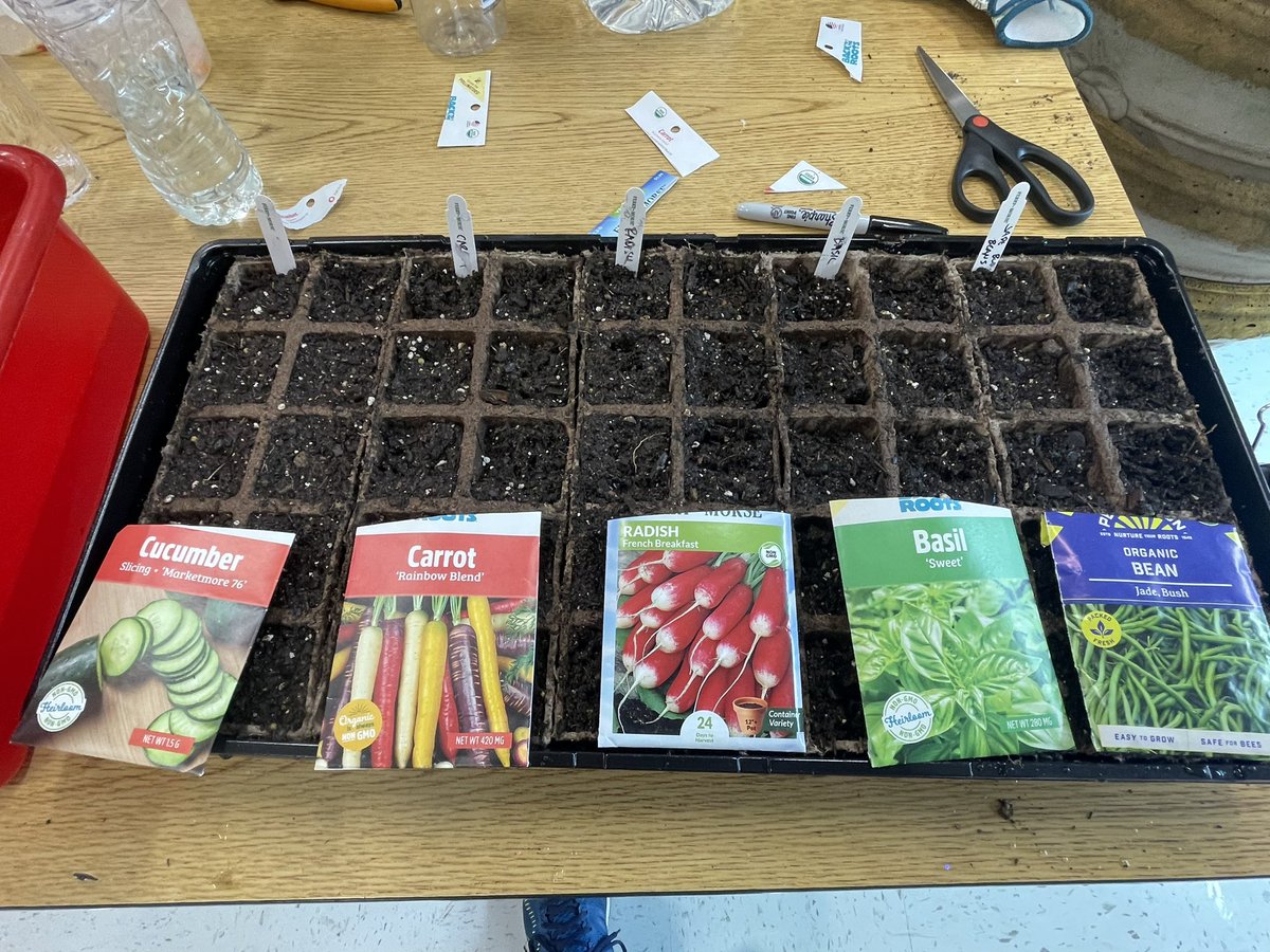 Seed starting today to get ready for the Garden Club in Spring <a href="/ArgyleElem/">Argyle Elementary</a>. Thank you to Smyrna <a href="/Publix/">Publix</a> Manager Jason Owens for the donation of garden gloves and $50 gift card! 🥕 🥒 🌿 #gardening #gardenclub