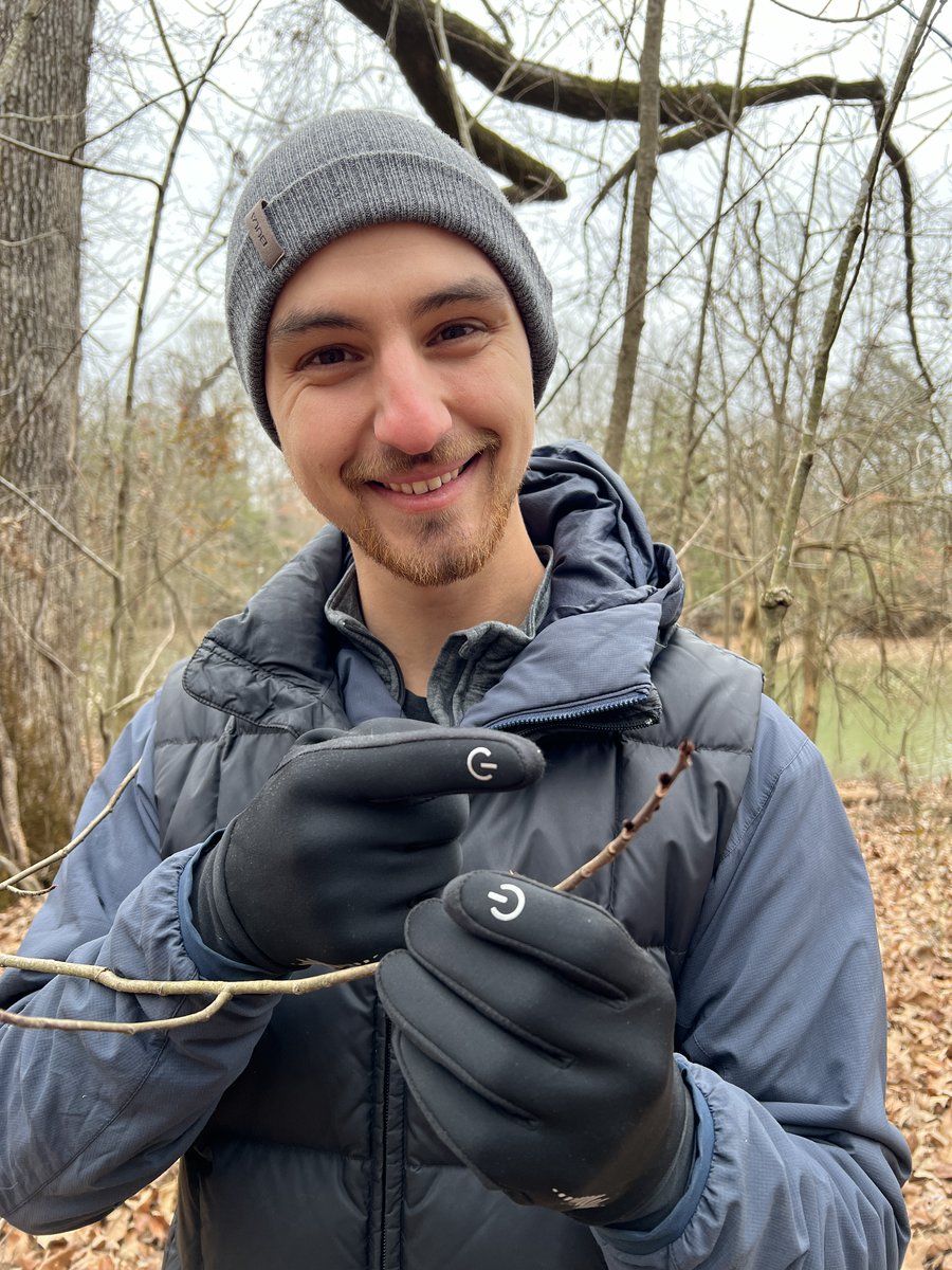 feralforaging's tweet photo. Do you know what I'm pointing at?

It's basically a secret beacon that you can use to find MORE wild pawpaw fruit next year!

I haven’t seen many other people talk about this, but it is so important for being able to find wild pawpaws consistently.

#pawpaw #foraging #winter https://t.co/YvSNucUo4v