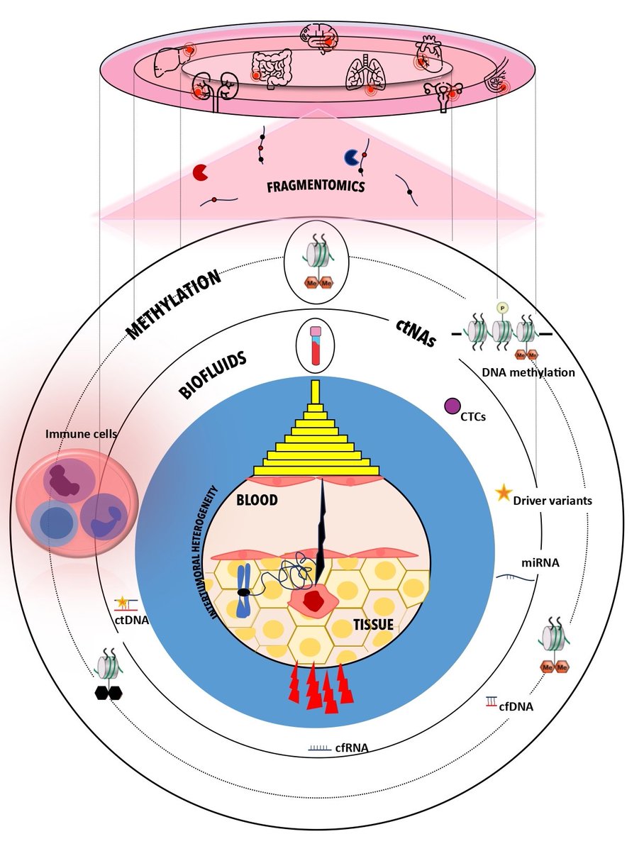 VGristina's tweet image. 🚀 Just dropped our take on cancer #epigenomics in liquid biopsy 📰How #methylomics and #fragmentomics are rocking the liquid world🎸💡depicting here the liquidomics journey into Dante&apos;s Paradise☄️🌬️

Thanks @UmbertoMalapel1 for your constant vision 

👇🏻futuremedicine.com/doi/10.2217/ep…