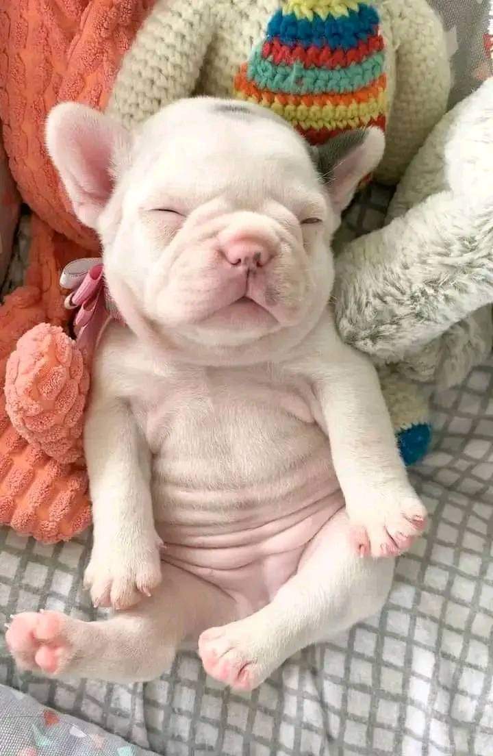 So adorable ❤️❤️