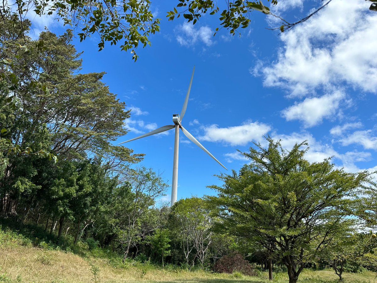 solarbutterfly5's tweet image. We explored San Juan del Sur, we were thrilled to see a wind park and a solar power farm. Nicaragua has discovered the advantages of solar power.

Stay with us, folks. Tomorrow is the day we are going to cross border to Costa Rica. 😊 

#SolarButterflyTour #LongiSolar #Nicaragua