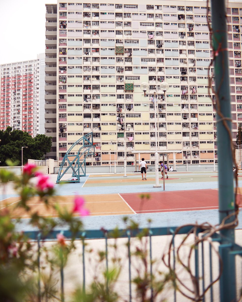 HONG KONG amongst the buildings

#visitasia #visithongkong #hongkong #HongKong #travel #basketballcourt #court #basketball #artprints #photography #choihungestate #outdoors