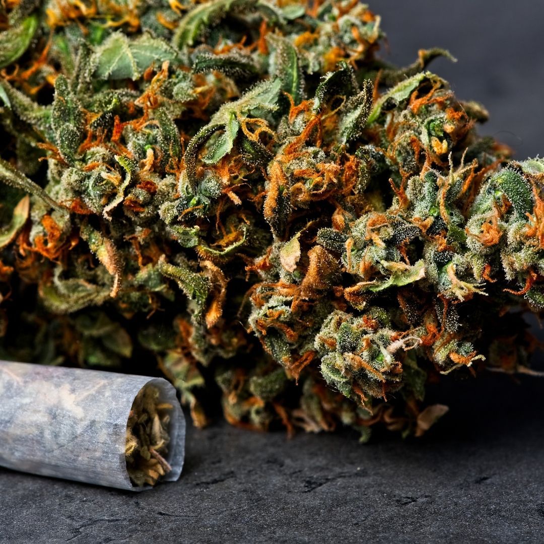 Kayacannabisco's tweet photo. Roll it up. Smoke it up. 🍃 

#KayaColorado #Denver #rollitup #happiness #milehighcity https://t.co/EO0pNlYCHk