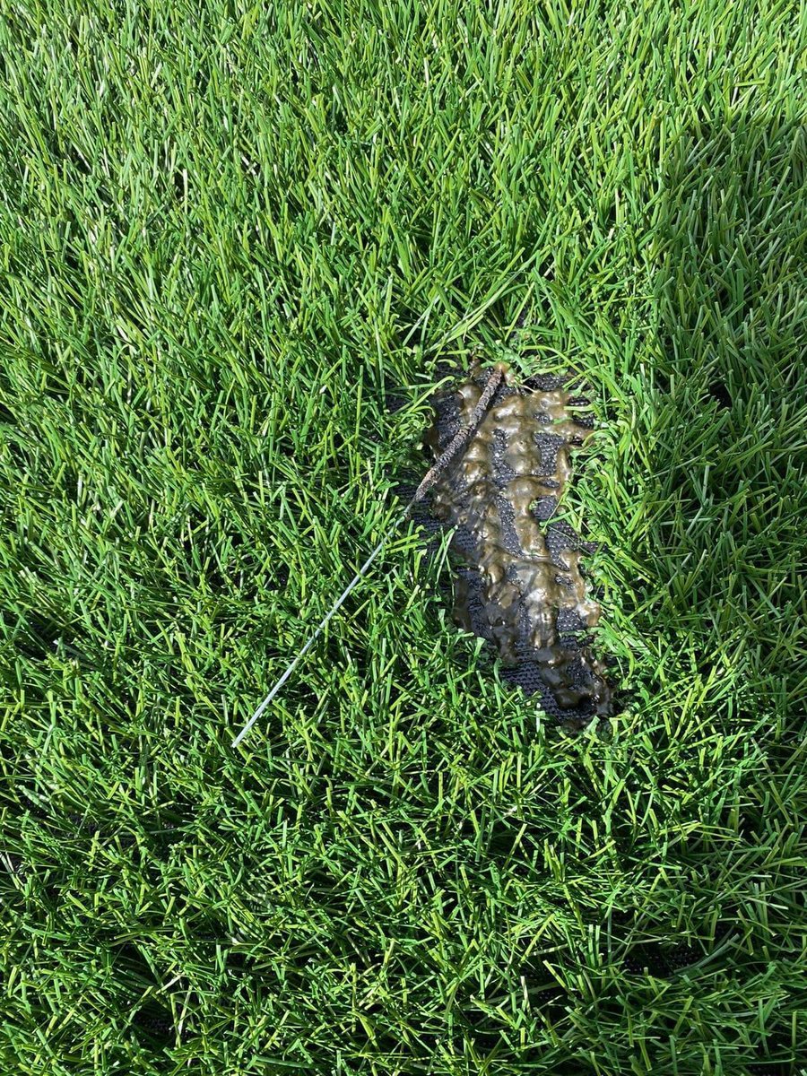 La cancha de Belén Rincón aún no ha sido entregada a la comunidad y por culpa de la quema indiscriminada de pólvora ya fue quemada ¡Más consciencia por favor, es para la el beneficio de todos! 

<a href="/AlcaldiadeMed/">Alcaldía de Medellín</a> 
<a href="/INDERMEDELLIN/">Inder Medellín</a> 
<a href="/FicoGutierrez/">Fico Gutiérrez</a> 
<a href="/DenunciasAntio2/">Denuncias Antioquia</a> 
<a href="/Guardianes_Ant/">Guardianes Antioquia Oficial</a>