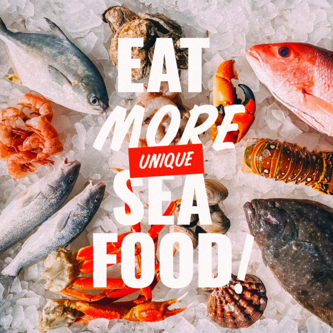 Alabama Seafood tweet media