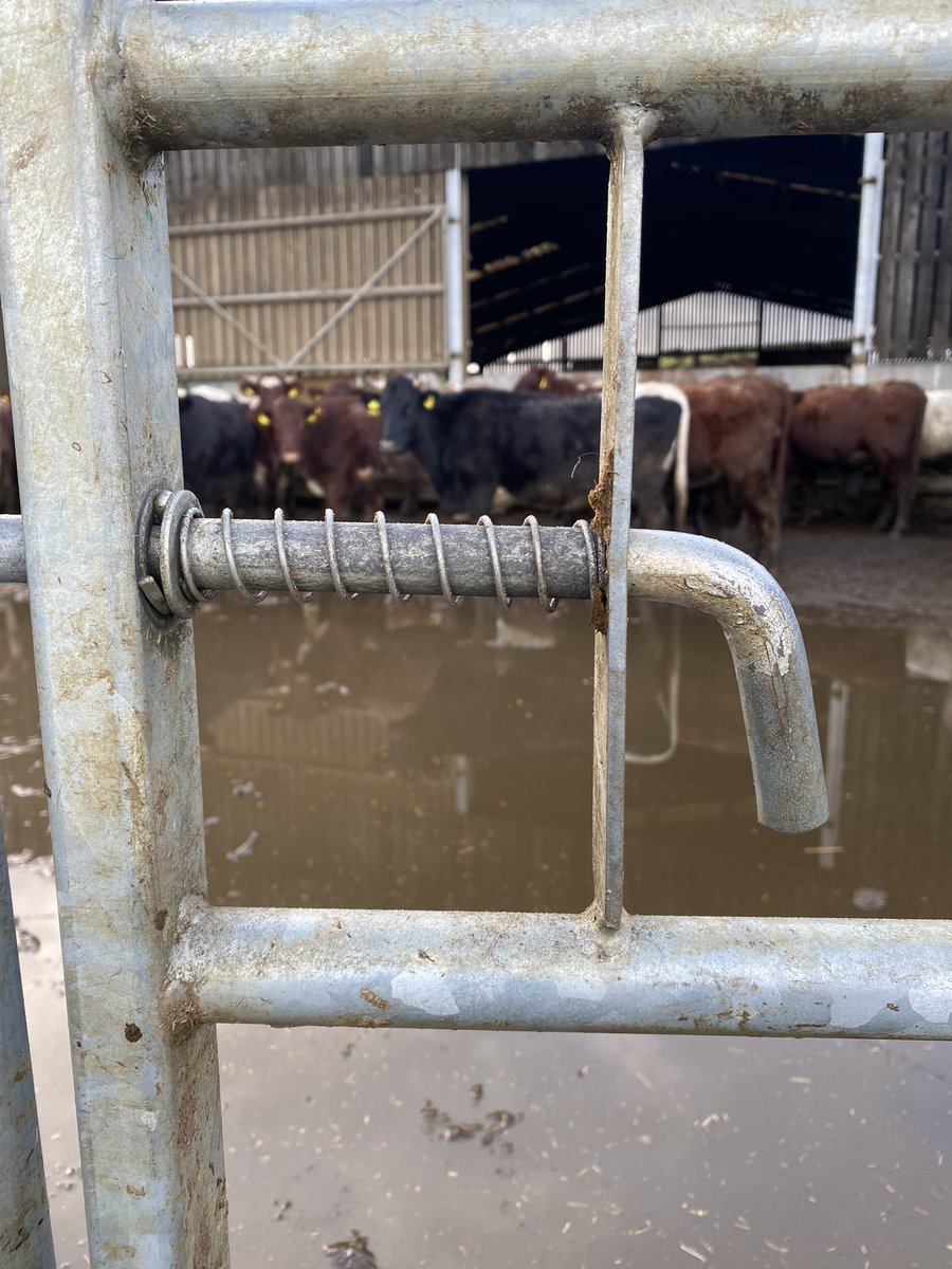 🤌🏻 <a href="/ritchieAgri/">Ritchie Agricultural</a> 
Look at the grippage on this handle.