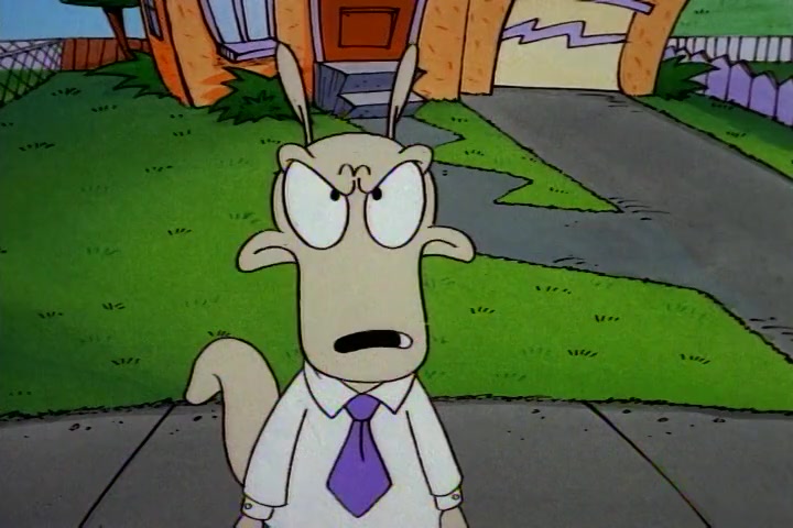 Rocko Screens tweet media