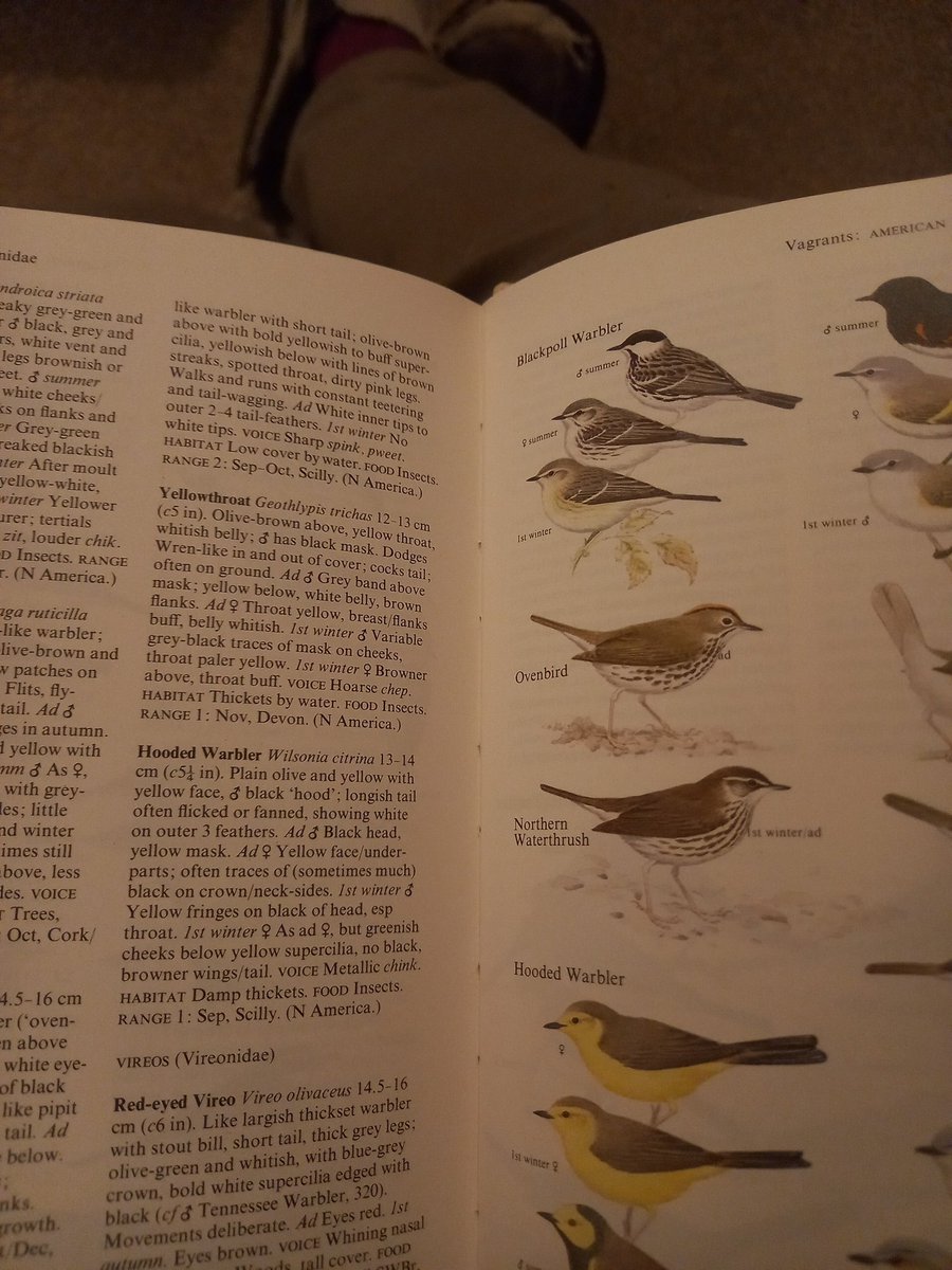 Mark Nowers tweet media