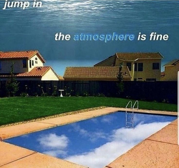 Hange Z. tweet media