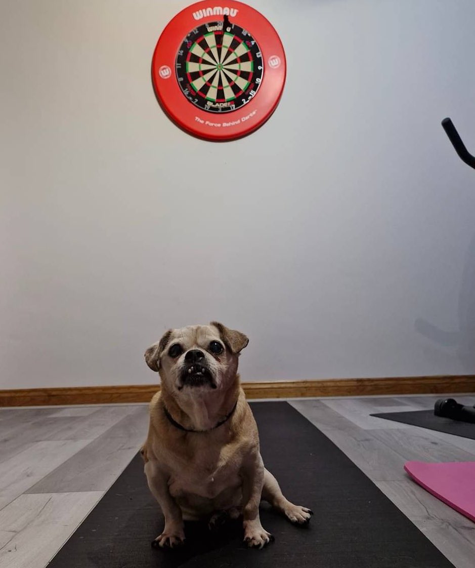 ktppennyk's tweet photo. Realised that @LukeTheNuke180 is only 1 year older my dog! Come on lad! https://t.co/Epzm1GNtSq