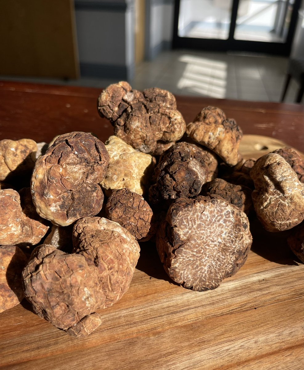 We are now well into our harvest!  If you’ve been waiting to order #truffles, now is a good time.  Feel free to order directly from our website.  #Food