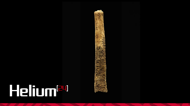 Helium24_'s tweet photo. El Hueso de Ishango: Un enigma matemático de 20 000 años de antigüedad https://t.co/5l1fkyGtWl https://t.co/gIYdZ0wAiW