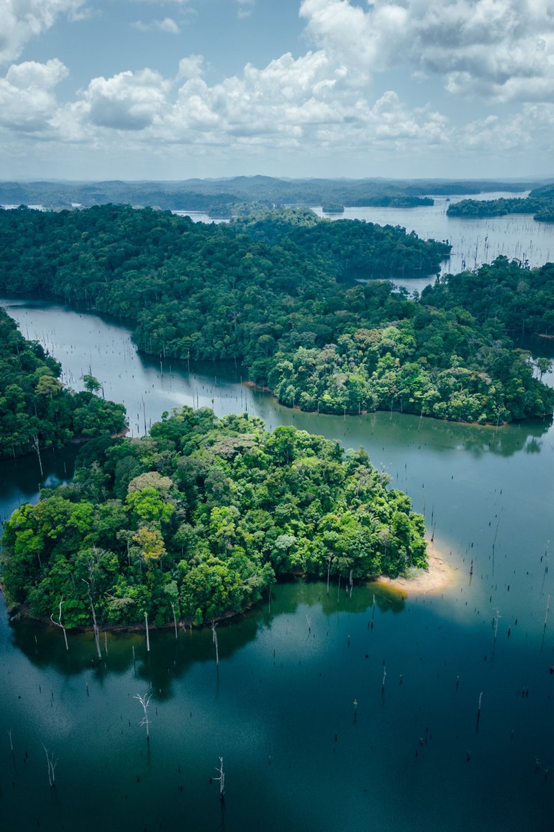 hellolaroux tweet media