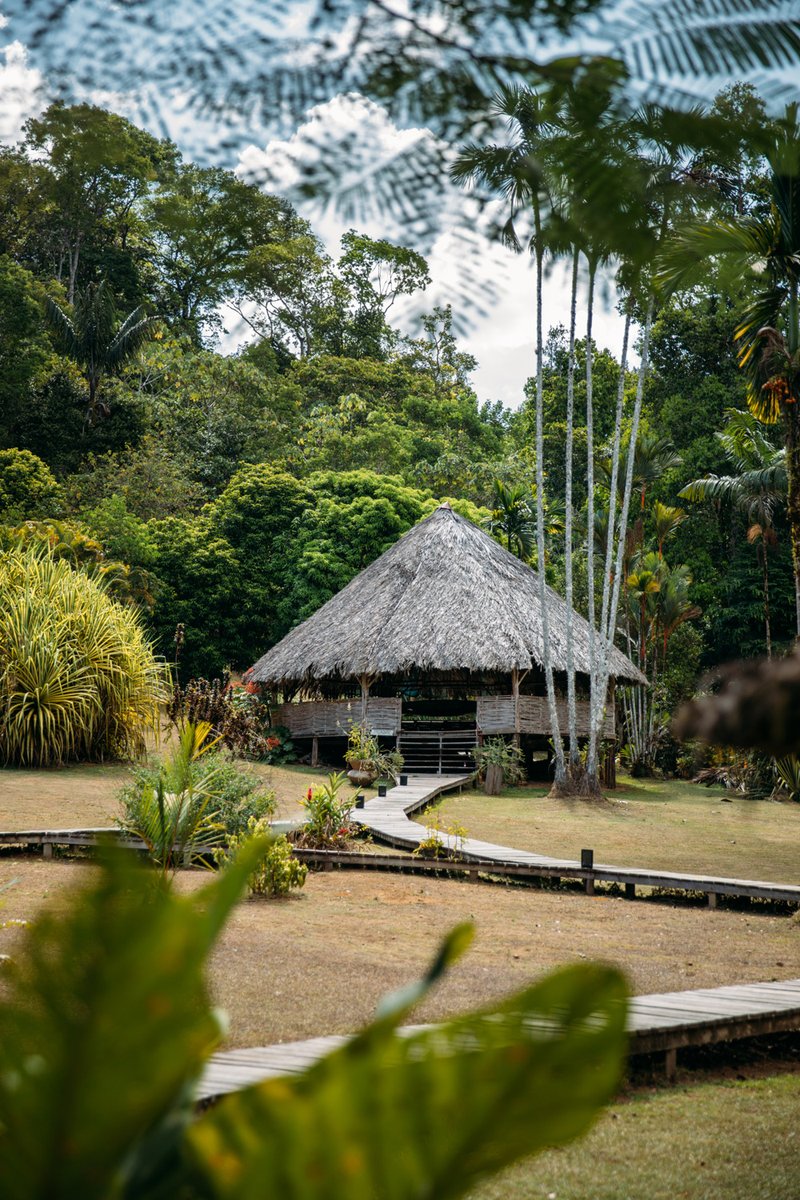 hellolaroux tweet media