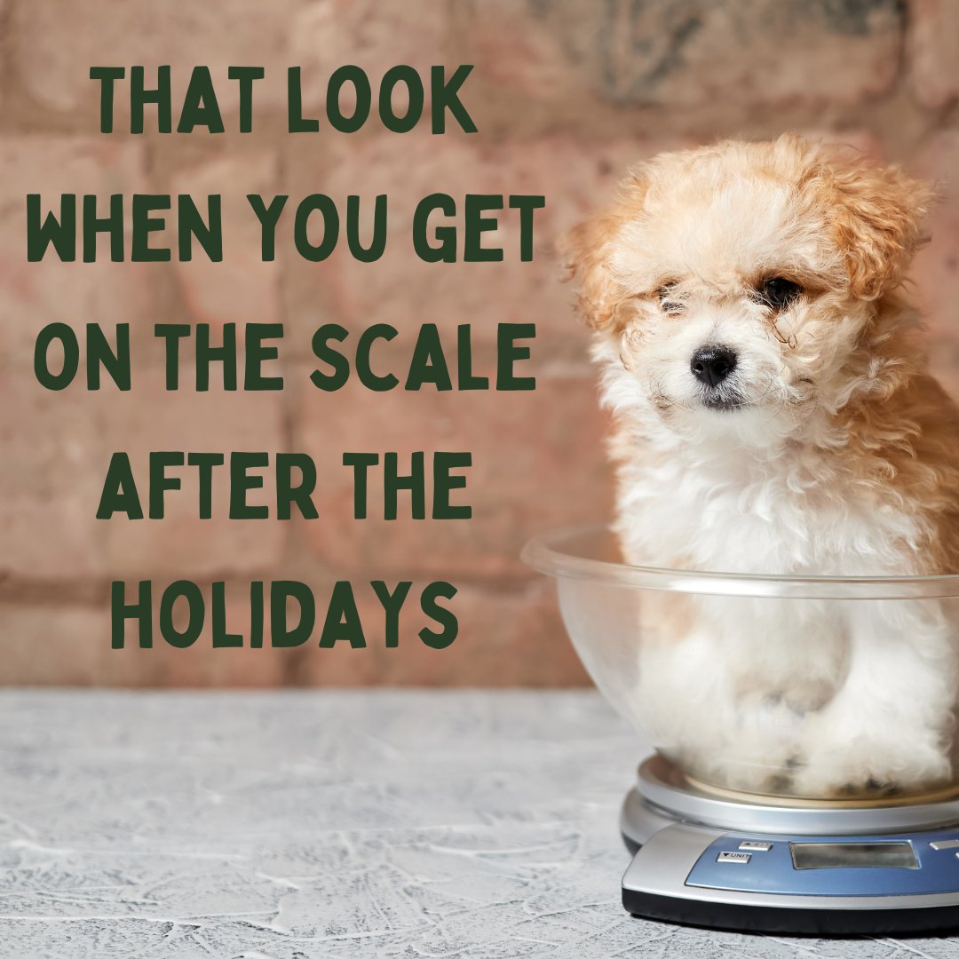 CMWaterSystems's tweet photo. Who else feels today's HUMP Day is in full effect?? 🤭😅 https://t.co/hSUn4vuw7Y