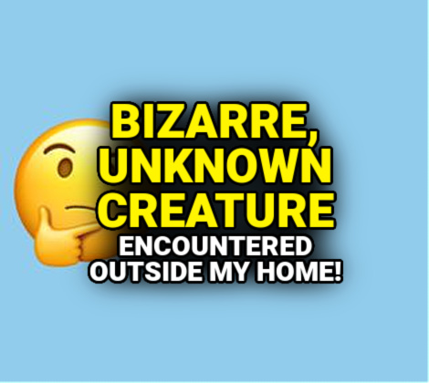 Phantoms & Monsters tweet media