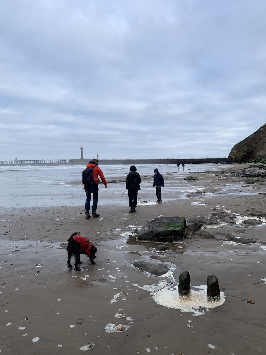#3GoodThings 

1. Seaside - it stayed dry! 
2. Fred behaved amazingly on the long drives
3. Gluten-free small cod &amp; chips on the pier
4. Found a 135M year old belemnite at Saltwick Bay
5. A happy but exhausting day