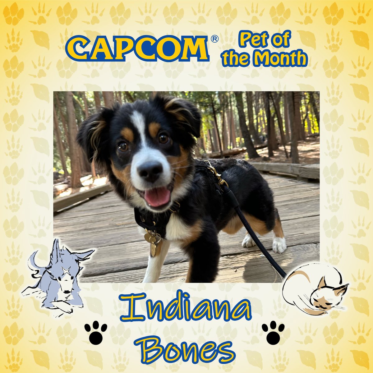 CapcomUSA_'s tweet image. A new year means a new Capcom Pet of the Month! January 2024 features Indiana Bones, one of the newest members of the Capcom family. Find out more about her at the link below!

🐶 bit.ly/CapcomPetJan24