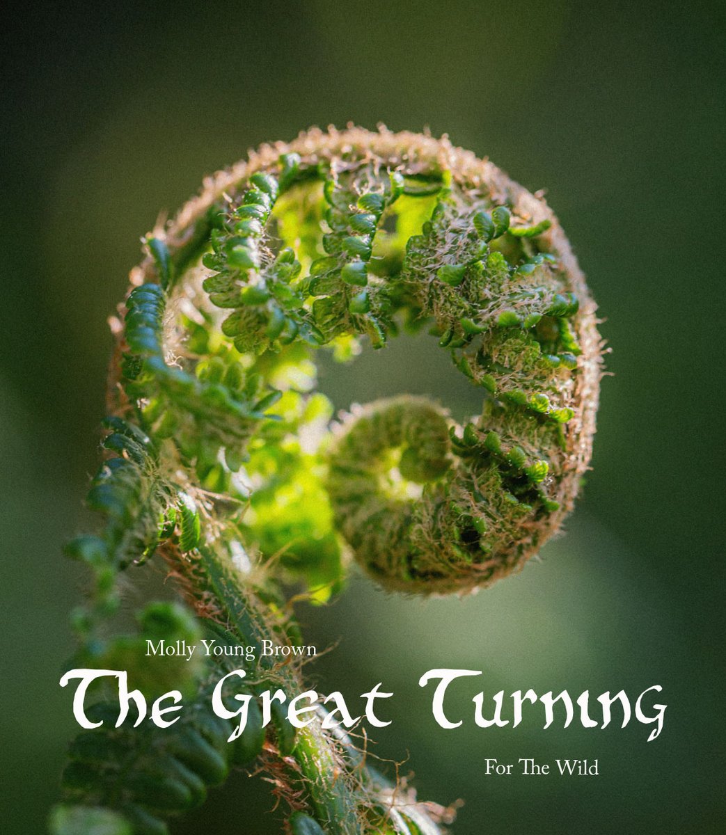 For The Wild tweet media