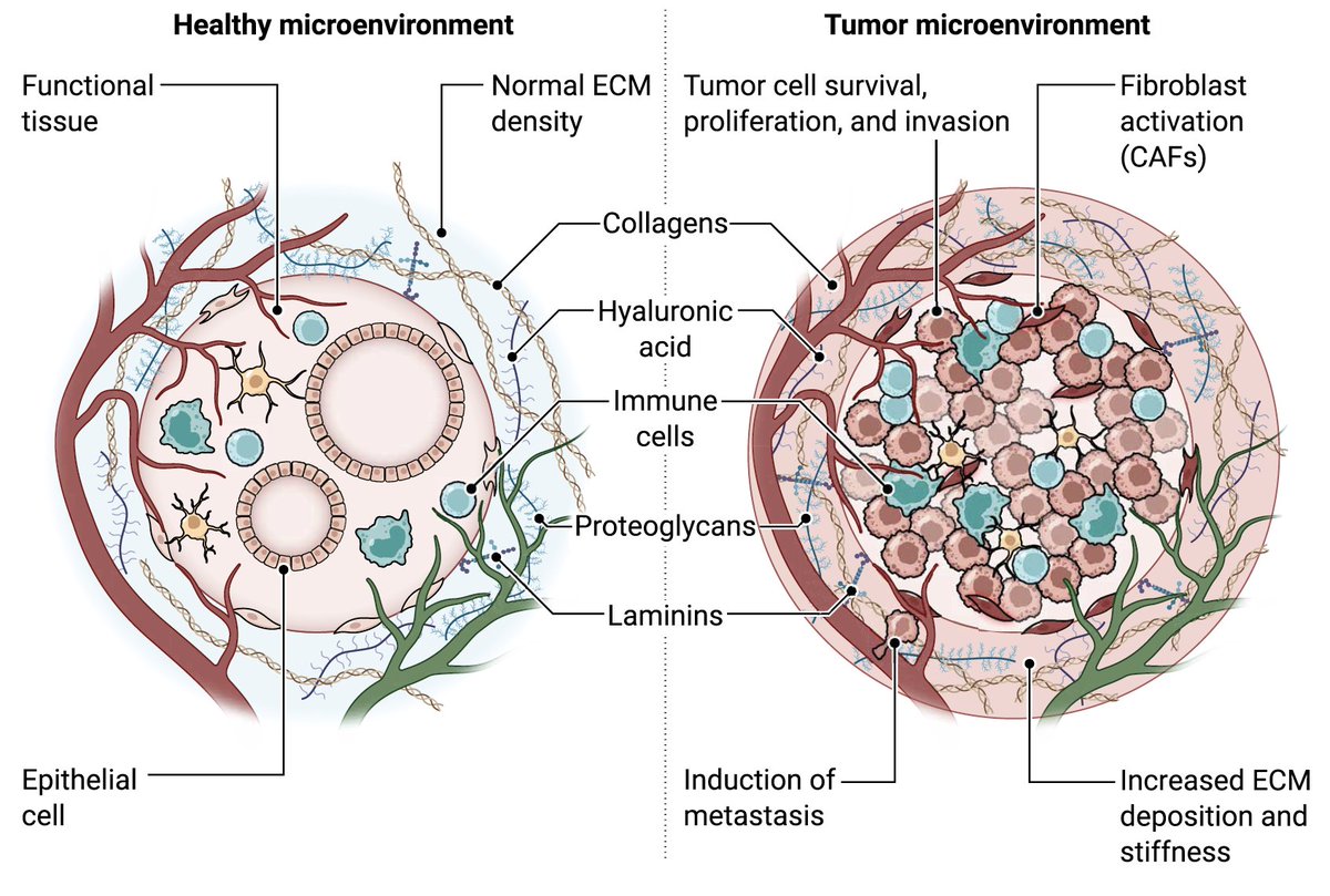 Eric Topol tweet media