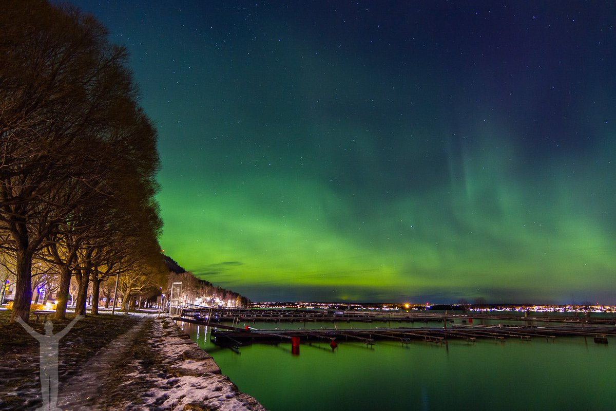 🔥LIVE FROM SWEDEN🔥

Straight from the cold north!
Green and Magenta! 

Links in the comments ⬇️

#LiveSpace
#DareToBeDifferent

#KickAffiliate 
#PickKick
