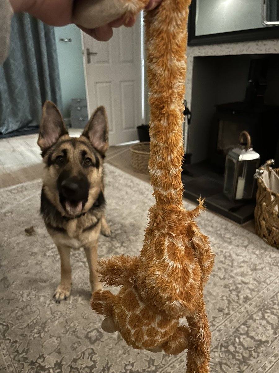 Can you tell it’s her favourite #itsdead