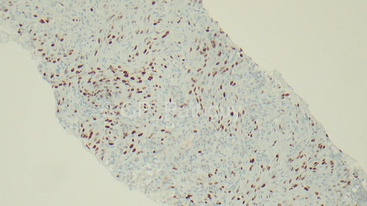 Glenn Murray tweet media