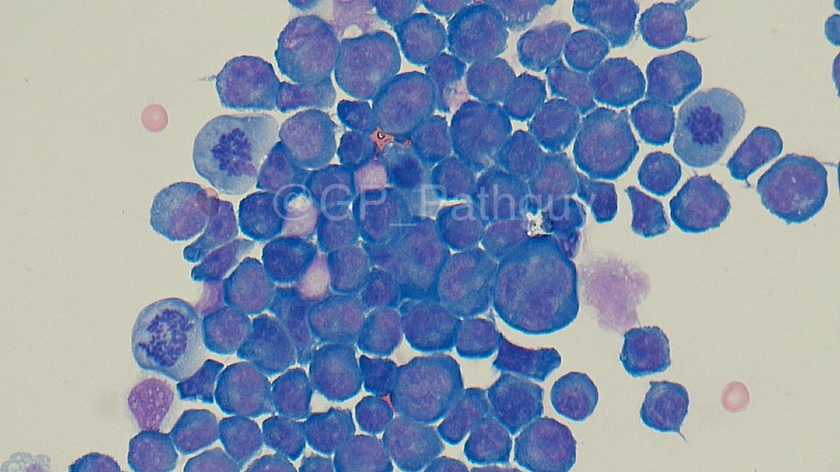 Glenn Murray tweet media