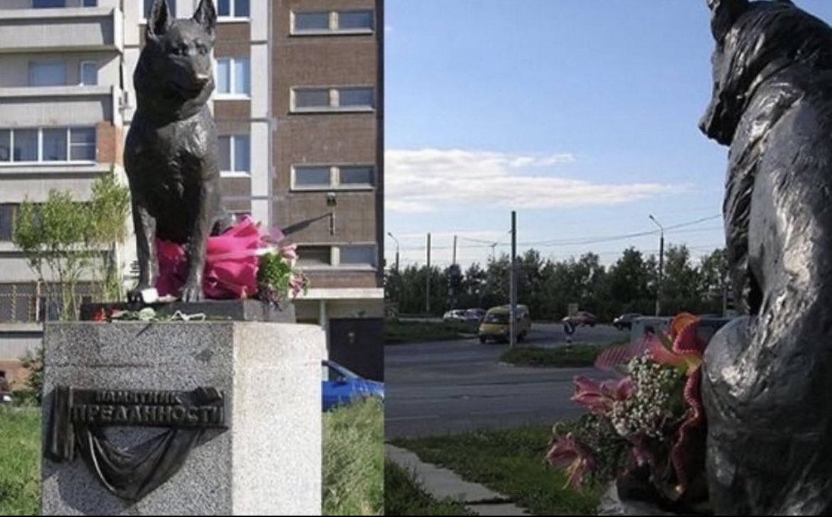 MorbidKnowledge's tweet photo. In 1995, a Russian dog's owners passed away in a car accident. Despite attempts to rehome him, the dog refused to leave the site of the accident. The dog stayed waiting 7 years for his owners until he too passed. A statue now stands in honor of the dog known as "loyalty" by the locals.