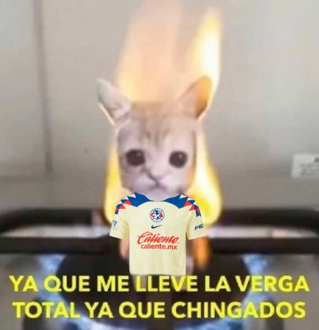 Meme 4
