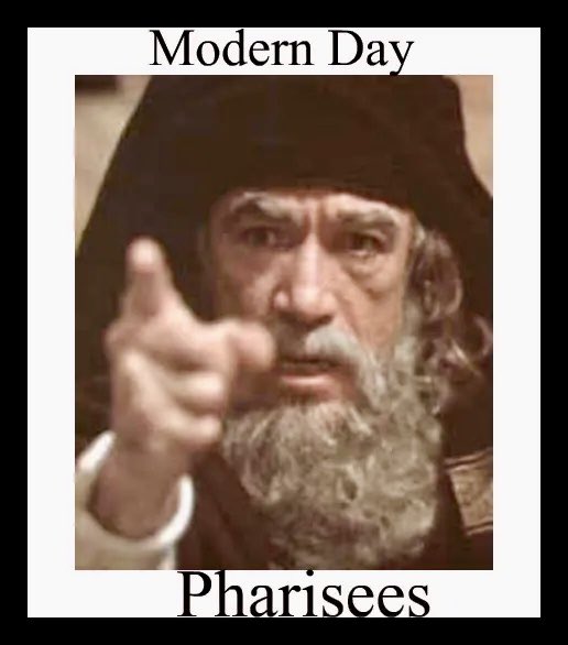 Brandi 🇺🇸 tweet media