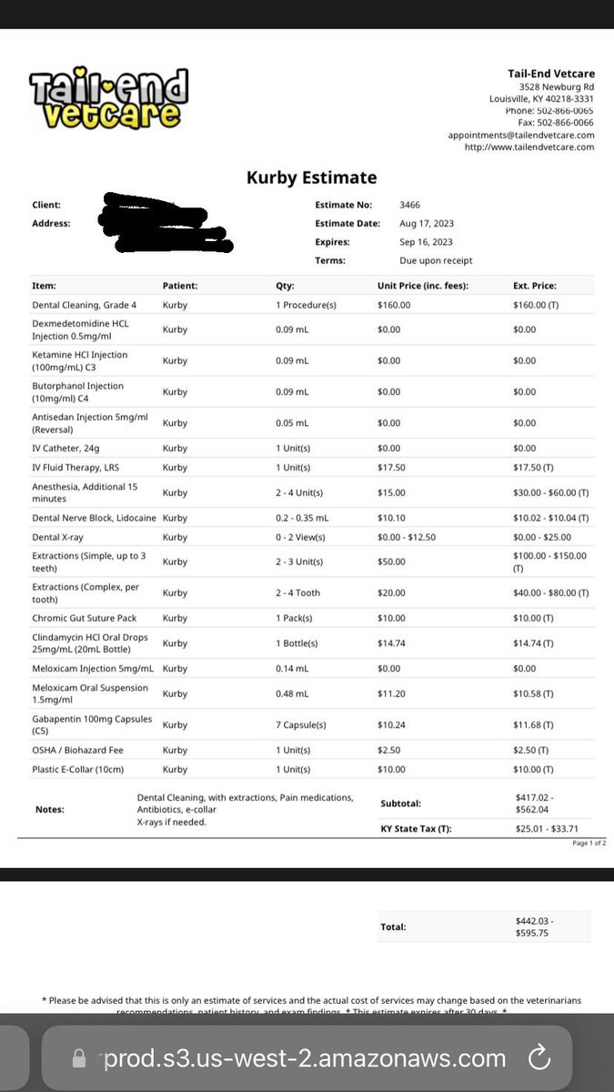 VET BILL- est $600 for dental cleaning, dental disease has caused infection to the left eye and nostril. Pls rt! gofund.me/11902320 
#HelpFolksLive2023 #MutualAid #crowdfunding #transcrowdfund #emergency #vetbill #GoFundMe #Crowdfund #transman