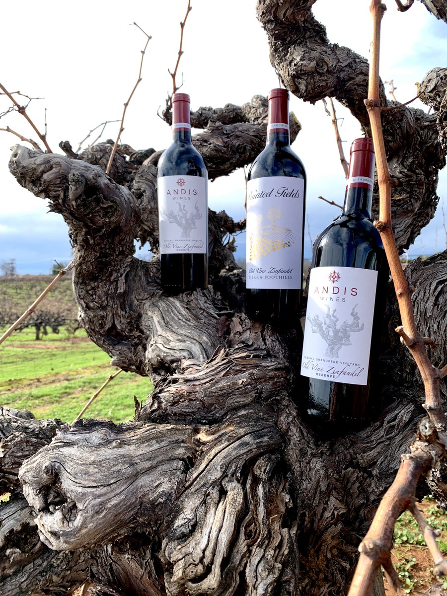 From sausages to soups to veggie delights, discover the versatility of our Reserve #Zinfandels on our latest #foodie blog  ~ andiswines.com/Blog/Blog-Arti…