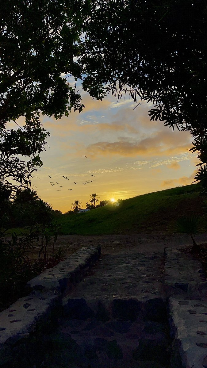 Un atardecer cerca del mar🌴 #LaGomera