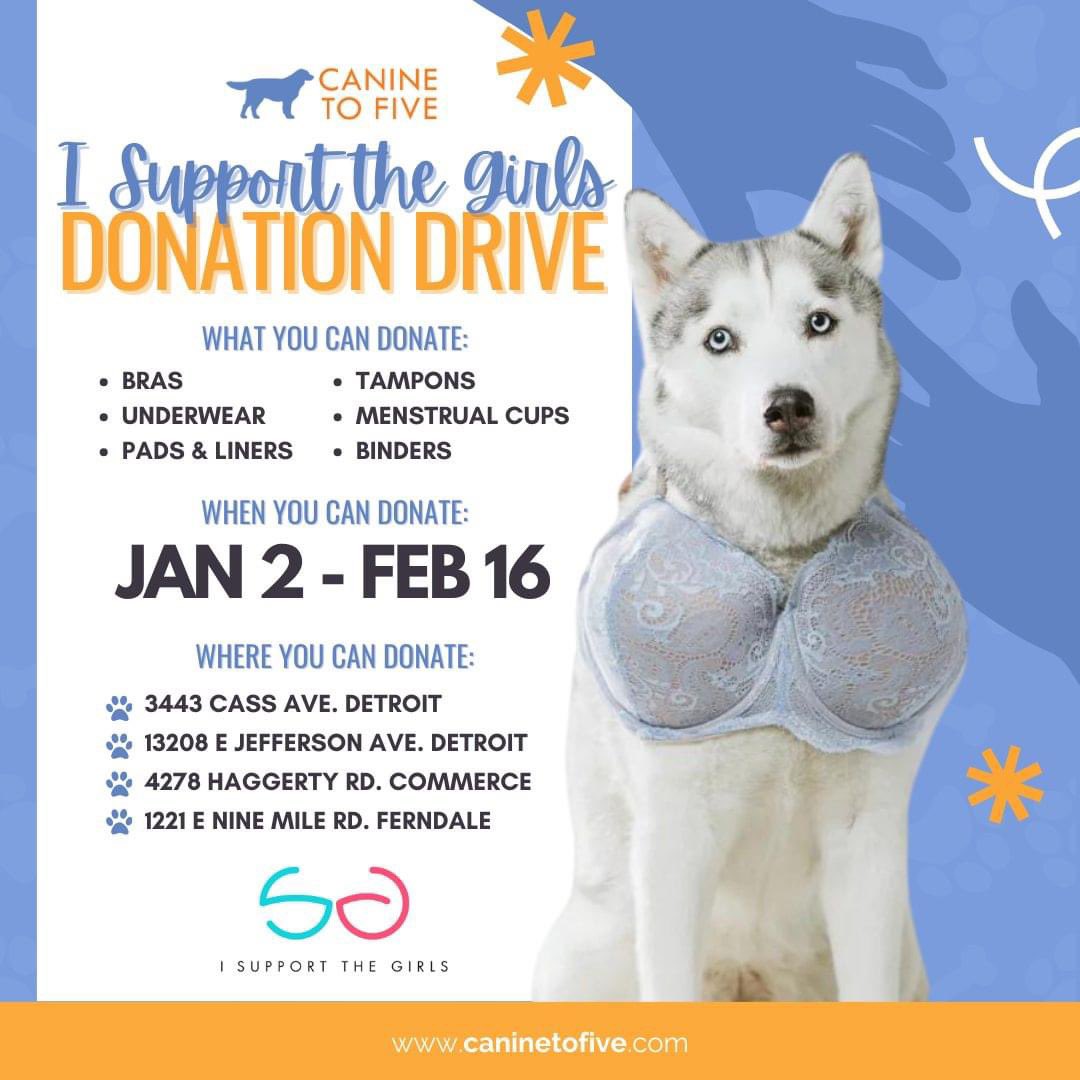 Now until Feb 16th, Canine To Five will be collecting donations in our lobbies for <a href="/I_Support_Girls/">I Support The Girls</a> 🤝

This organization collects new &amp; gently used bras, new underwear, and unopened pads, tampons, &amp; menstrual cups for women and girls experiencing homelessness in Detroit.