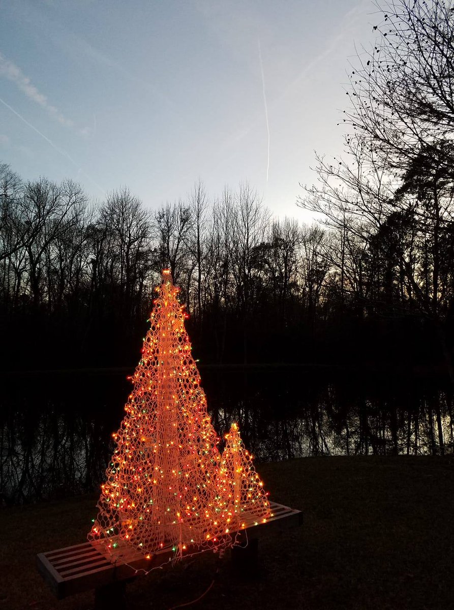 CrabPotTrees's tweet photo. The tree might be coming down, but the holiday spirit remains! Let's continue to spread love and kindness into the new year. ✨ https://t.co/OR01UxBVk8