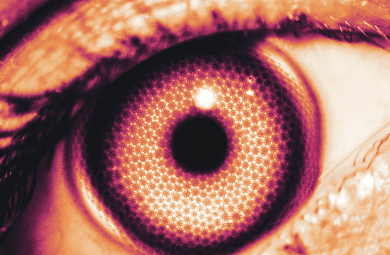 AFOSR's tweet photo. "Diatom Eye" submitted by Omer Caylan, @MIT, from our 2023 Art of Science Showcase.
@AFResearchLab | #AFResearchLab | #AFOSRArt | #ArtofScience | #ScienceArt | #STEMArtistry | #CreativeSTEM | #PantoneColoroftheYear | #PeachFuzz | #Pantone | #Pantone2024 https://t.co/TK7PgOCyHi