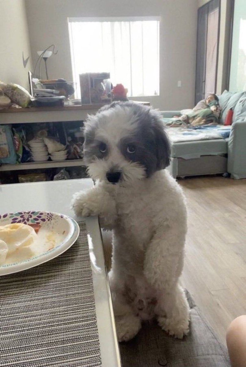 how i look after saying i’m not hungry