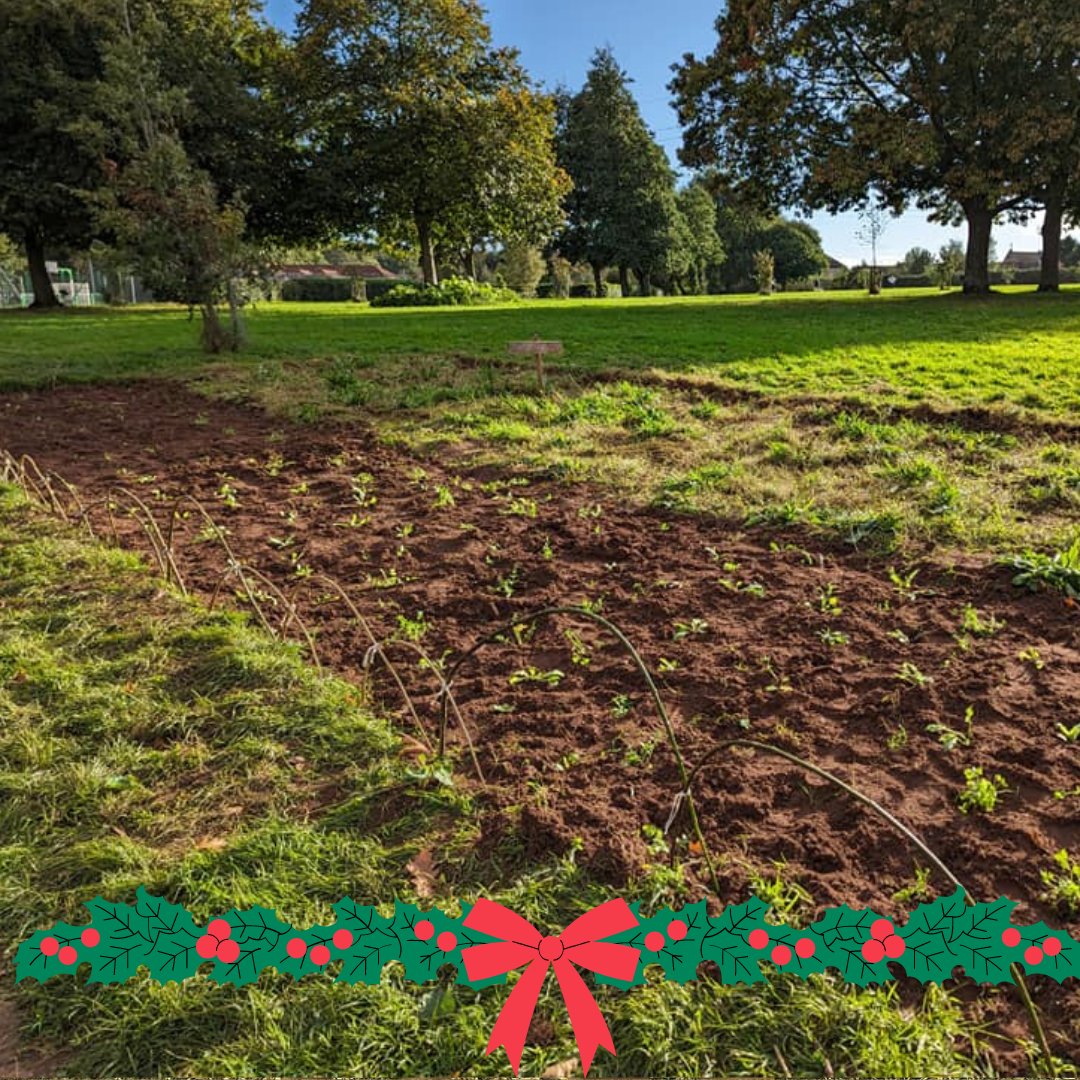 Volunteers have been planting wildflower meadows across Bristol as part of Parks for Pollinators, funded by @WestofEnglandCA . More sites across Bristol will see planting of hedgerows, orchards, and wildflowers to support our vital pollinators. #bees🐝 orlo.uk/hI8CU