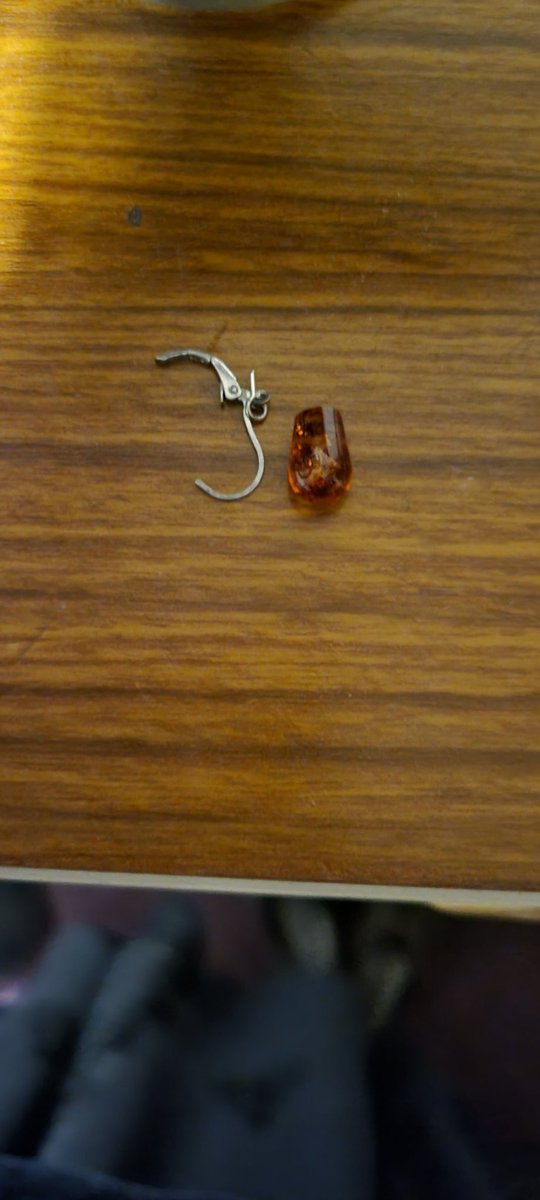 Well, that's a favourite earring hoovered to death!