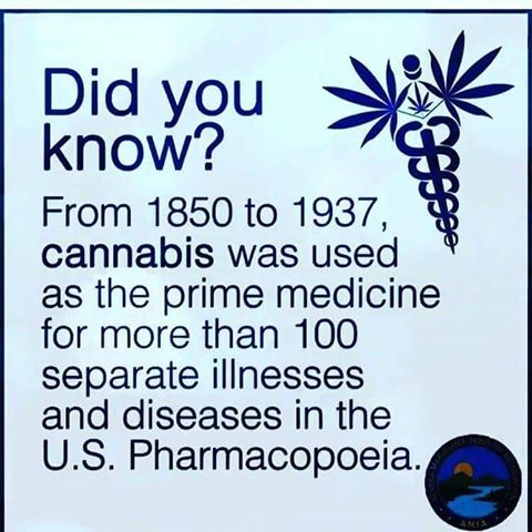 JulieM0rcombe's tweet image. A fact !